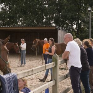 Coaching horsemanship - jaartraining